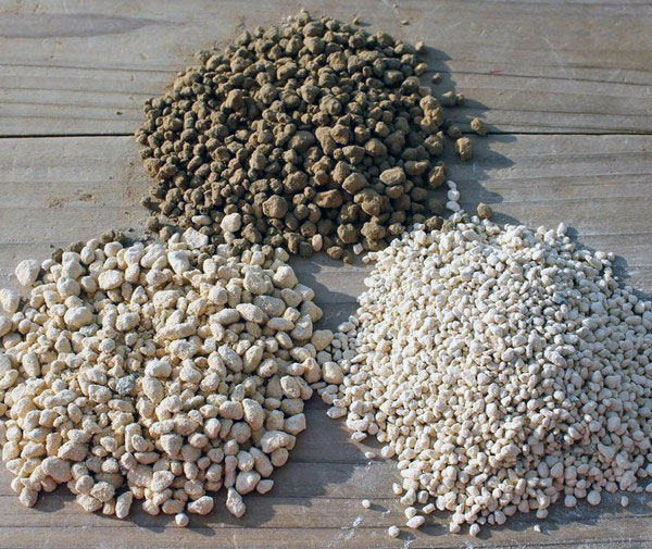 Đất trồng trong cách trồng cây bonsai mini giúp cây thoát nước tốt